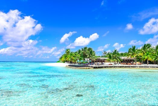 Stunning tropical beach with clear waters and palm trees under a bright sunny sky.